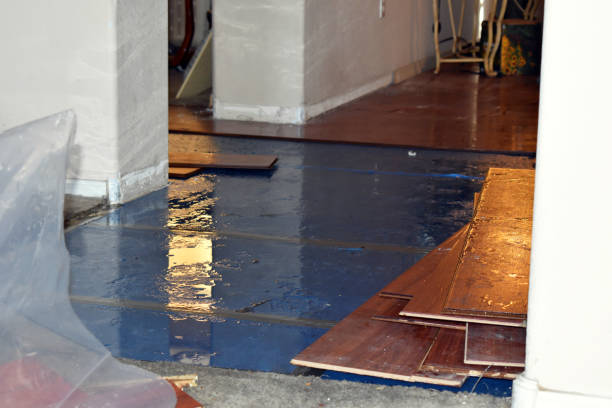 Professional Water Damage Restoration technician working in Lind, WA